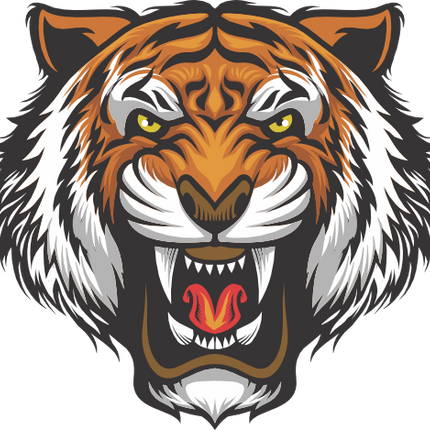 (s145-01-2K)  Tiger Mascot