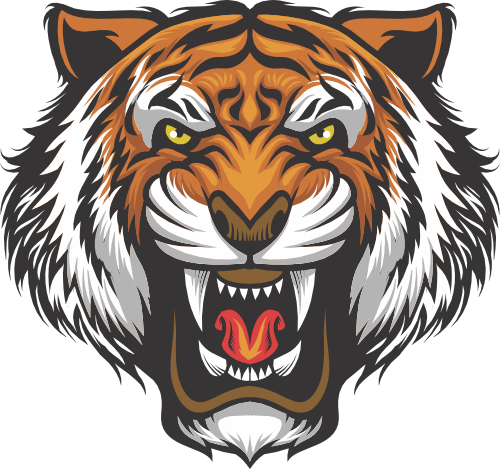 (s145-01-2K)  Tiger Mascot