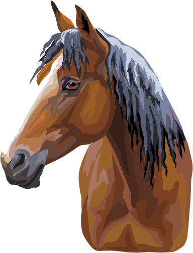 (s287-1R)  Illustrated Horse Head