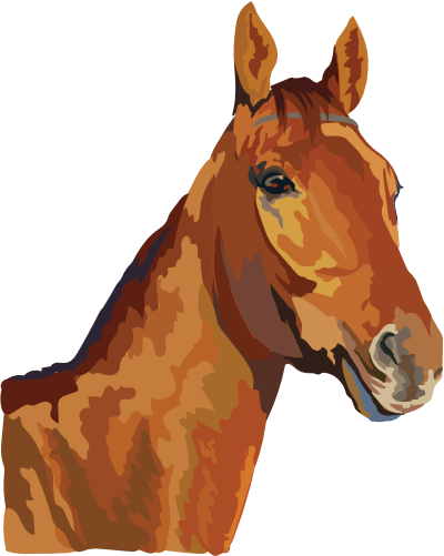 (s287-1O)  Illustrated Horse Head