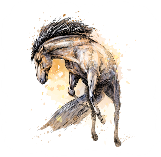 (s346-2-1F) Watercolor Boho Horse