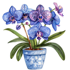 (125-03) Potted Orchids