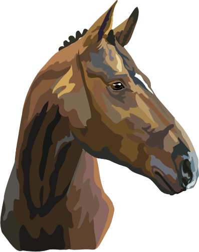 (s287-1Q)  Illustrated Horse Head