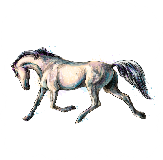 (s346-2-1D) Watercolor Boho Horse