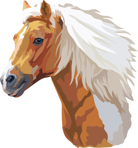 (s287-2D)  Illustrated Horse Head