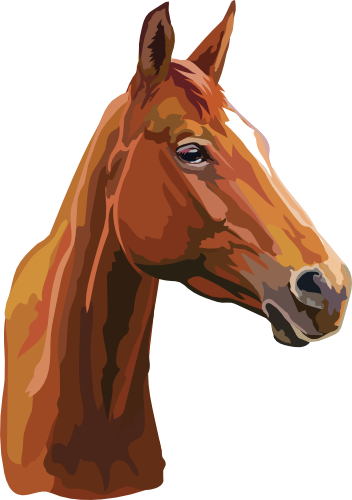 (s287-1M)  Illustrated Horse Head