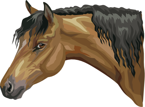 (s287-1T)  Illustrated Horse Head