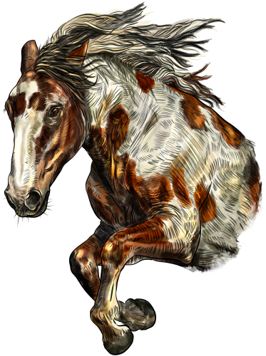 (s098-3-P)  Watercolor Horse