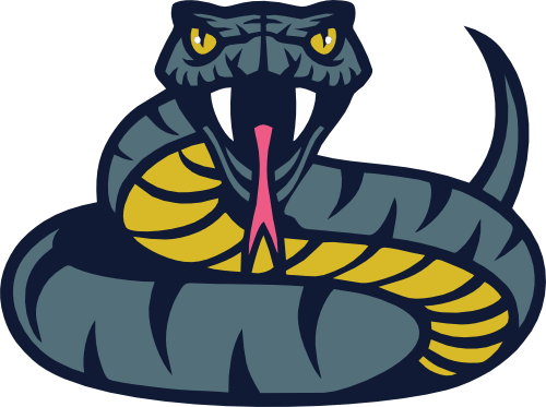 (s145-1-2Z) Snake Mascot