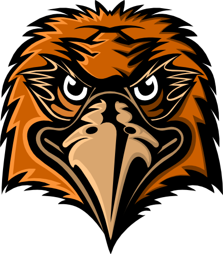 (s145-01-3E) Hawk Mascot