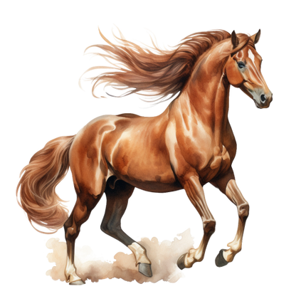 (s398-1-1E)  Watercolor Horse