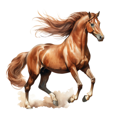 (s398-1-1E)  Watercolor Horse