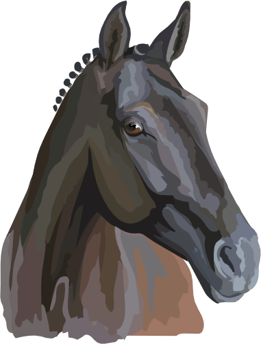 (s287-1X)  Illustrated Horse Head