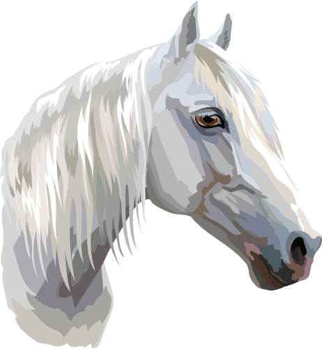 (s287-1E)  Illustrated Horse Head