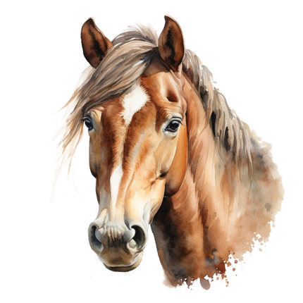 (s398-1-1C)  Watercolor Horse