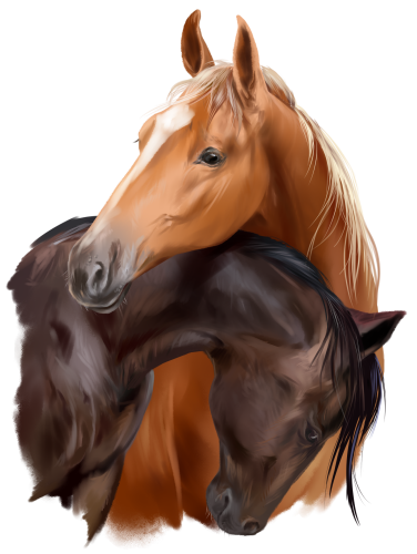 (s109-3-G)  Watercolor Horse