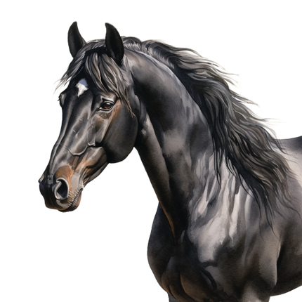 (s398-1-1Q)  Watercolor Horse