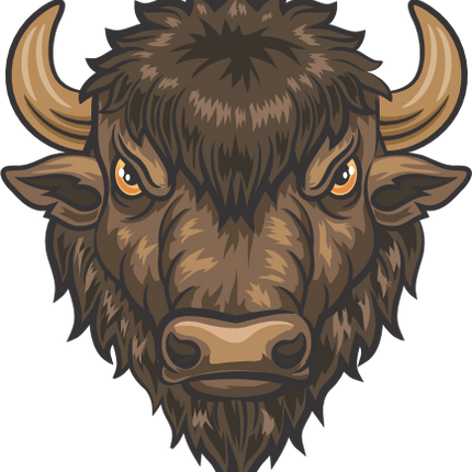 (145-1A-18) Buffalo Mascot