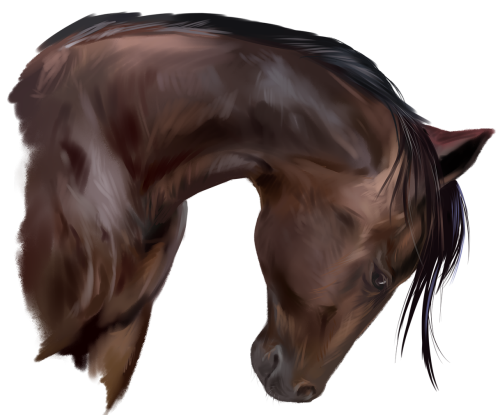 (s109-3-I)  Watercolor Horse