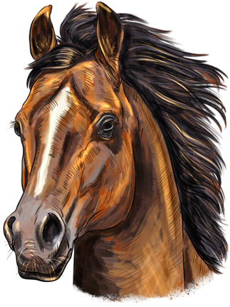 (s098-3-S)  Watercolor Horse