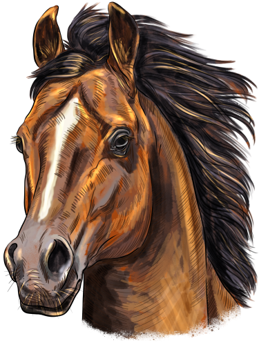 (s098-3-S)  Watercolor Horse