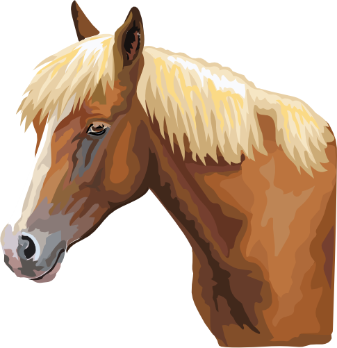 (s287-1N)  Illustrated Horse Head