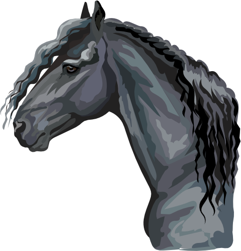 (s287-1S)  Illustrated Horse Head