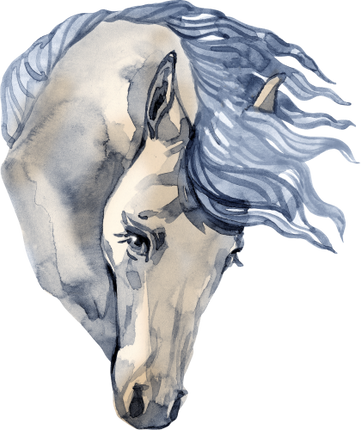 (s100-2-I)  Watercolor Horse
