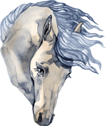 (s100-2-I)  Watercolor Horse