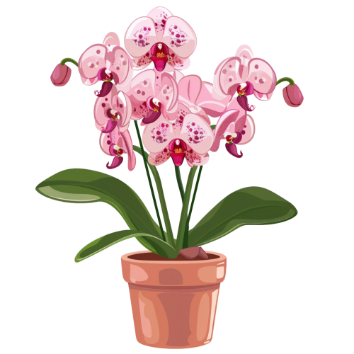 (125-03) Potted Orchids