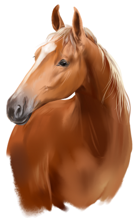 (s109-3-J)  Watercolor Horse