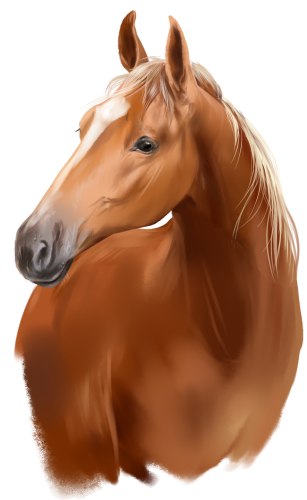 (s109-3-J)  Watercolor Horse