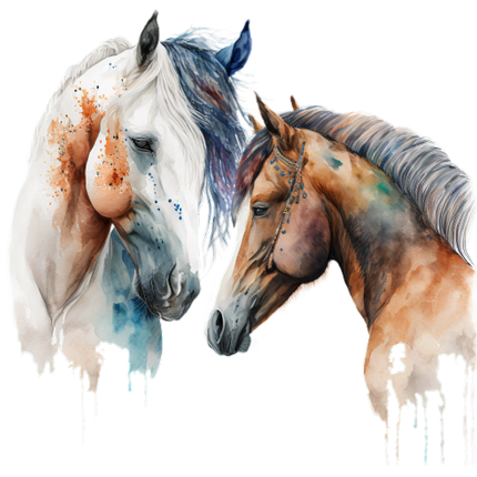 (s346-1-1R)  Watercolor 2  Horses Couple