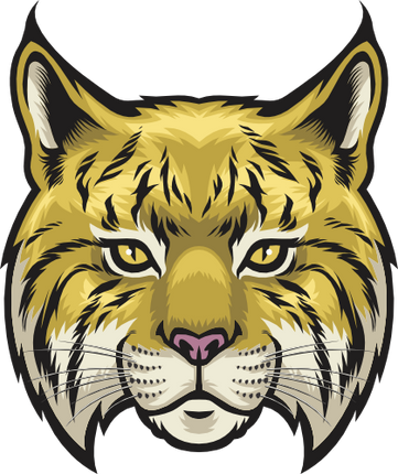 (145-1A-19) Wildcat Mascot