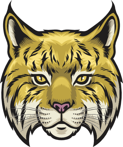 (145-1A-19) Wildcat Mascot