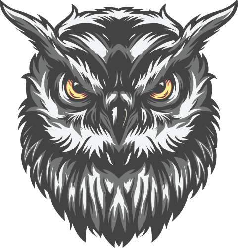 (s145-01-1E) Owl Mascot