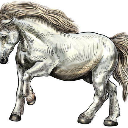 (s098-3-E)  Watercolor Horse