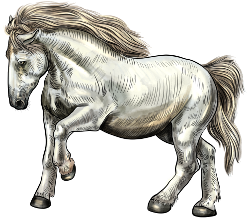 (s098-3-E)  Watercolor Horse