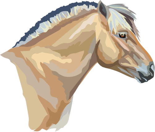(s287-1I)  Illustrated Horse Head