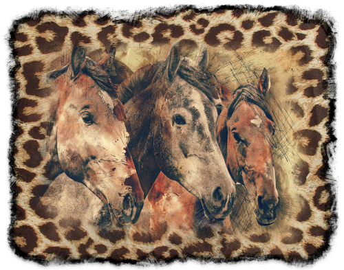 (s346-1-1L)  Watercolor 3 Horses Leopard Print