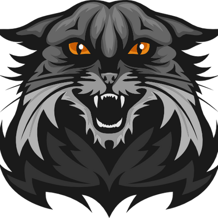 (145-1A-27) Wildcat Bearcat Mascot