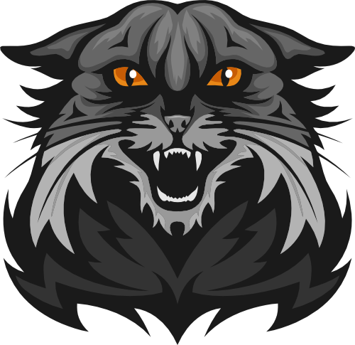 (145-1A-27) Wildcat Bearcat Mascot