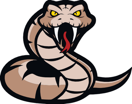 (145-1A-77) Snake Mascot