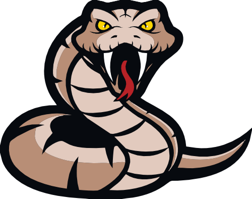 (s145-1-2Y) Snake Mascot