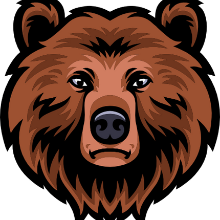 (145-1A-69) Bear Mascot