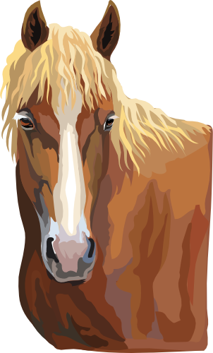 (s287-1J)  Illustrated Horse Head