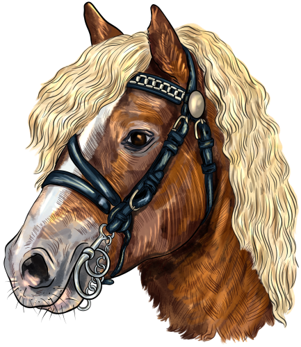 (s098-3-R)  Watercolor Horse