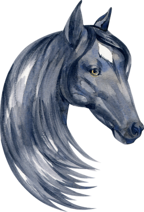 (s100-2-F)  Watercolor Horse