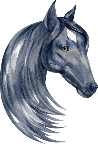 (s100-2-F)  Watercolor Horse