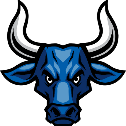 (145-1A-51) Bull Mascot